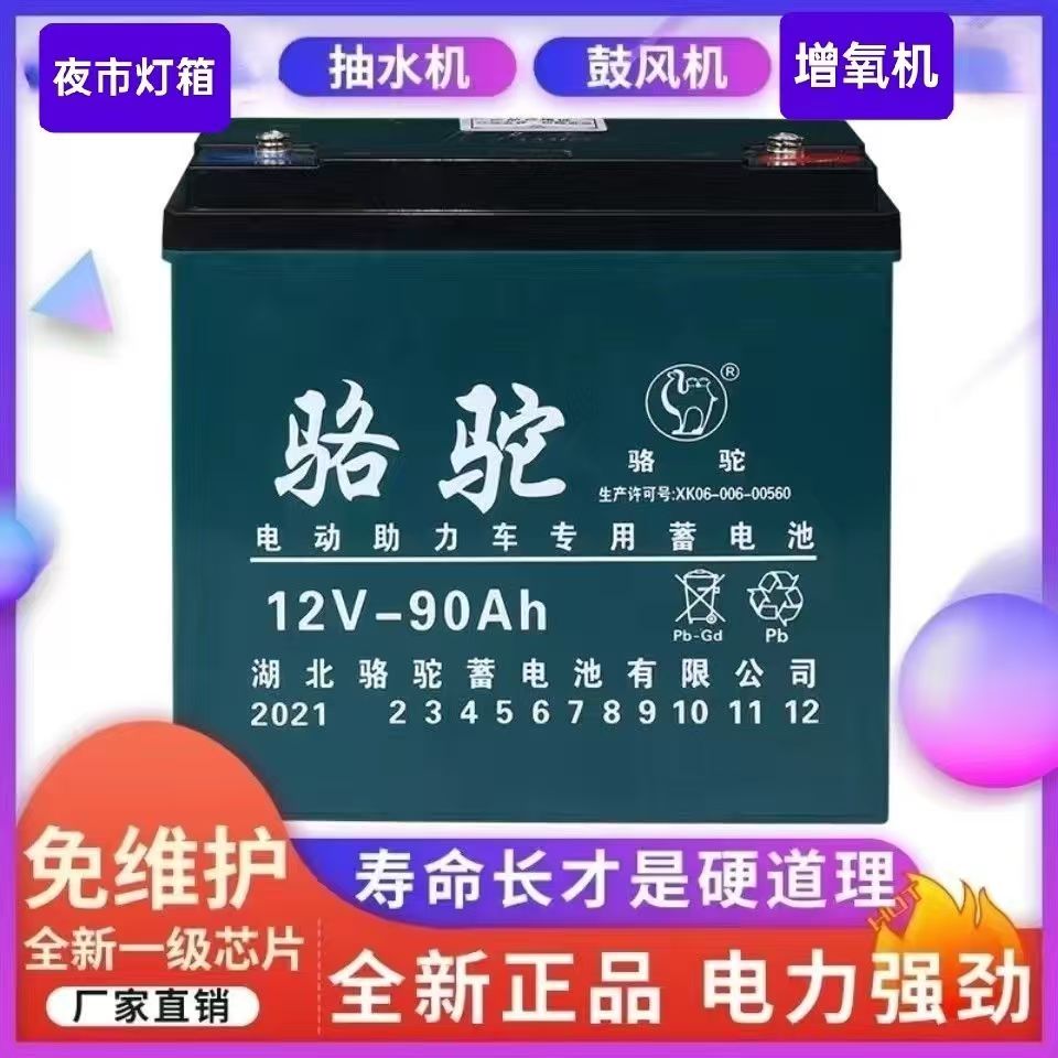 干电瓶铅酸电池12伏大容量照明摆摊电瓶水泵蓄电池增氧机夜灯箱